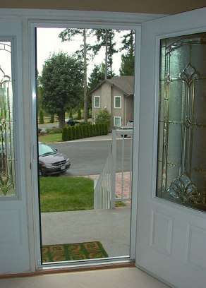 Door Screen with view